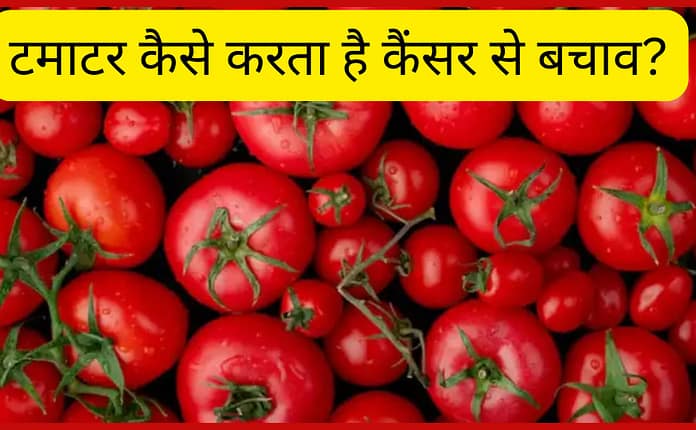 कैंसर से बचाव में टमाटर का अद्भुत योगदान: NCBI की रिसर्च से जुड़ी अहम जानकारी